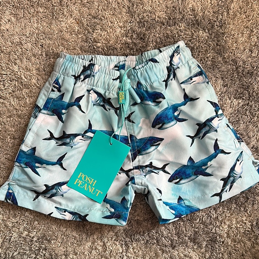 Posh Peanut Shark Print Shorts